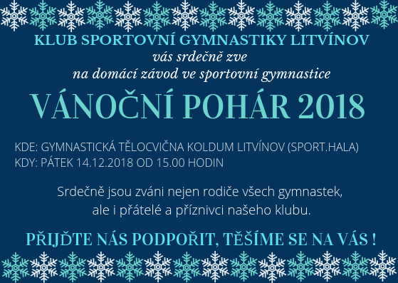 KLUB SPORTOVNÍ GYMNASTIKY LITVÍNOV (9)